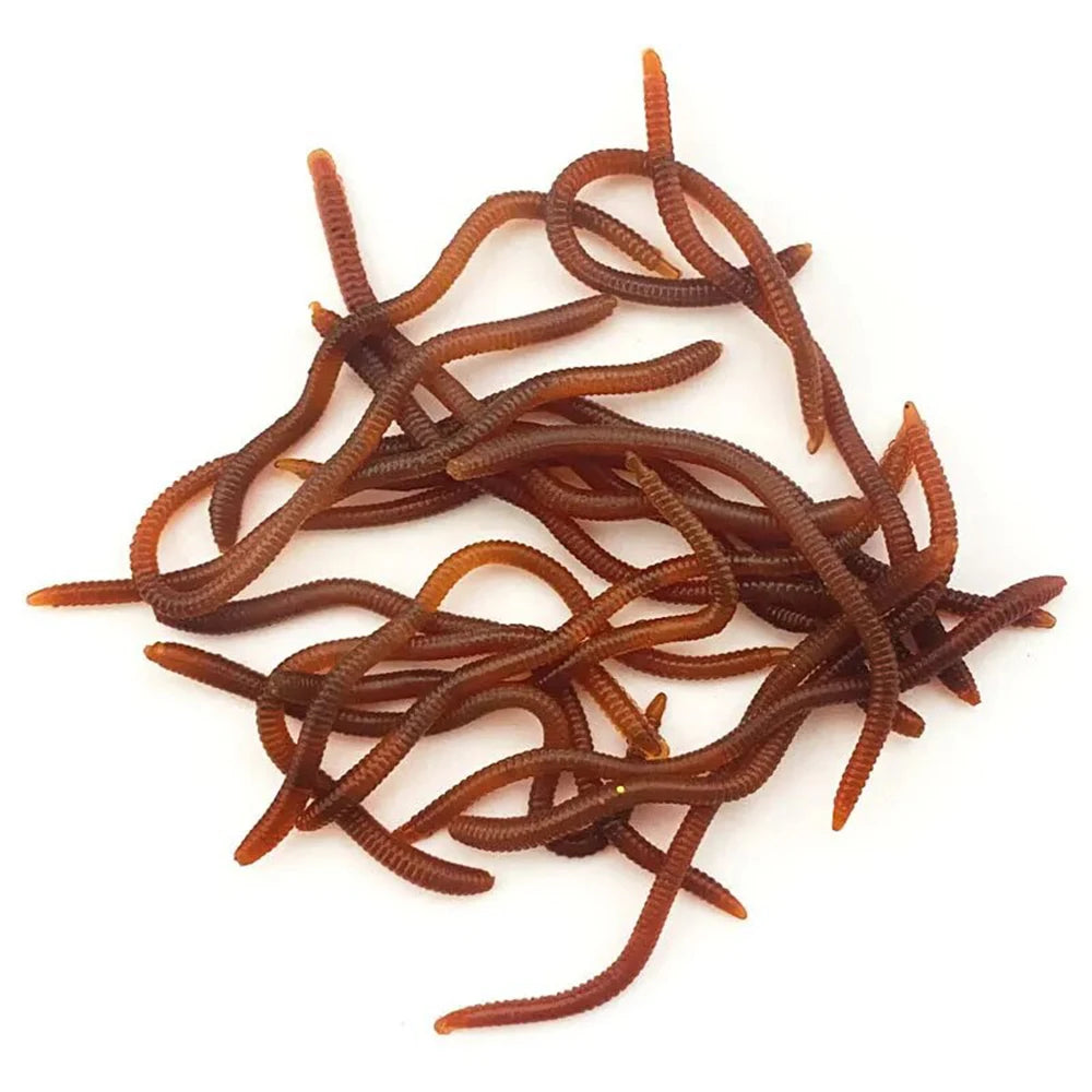 דמוי תולעים אדומות רכות עם ריח דג